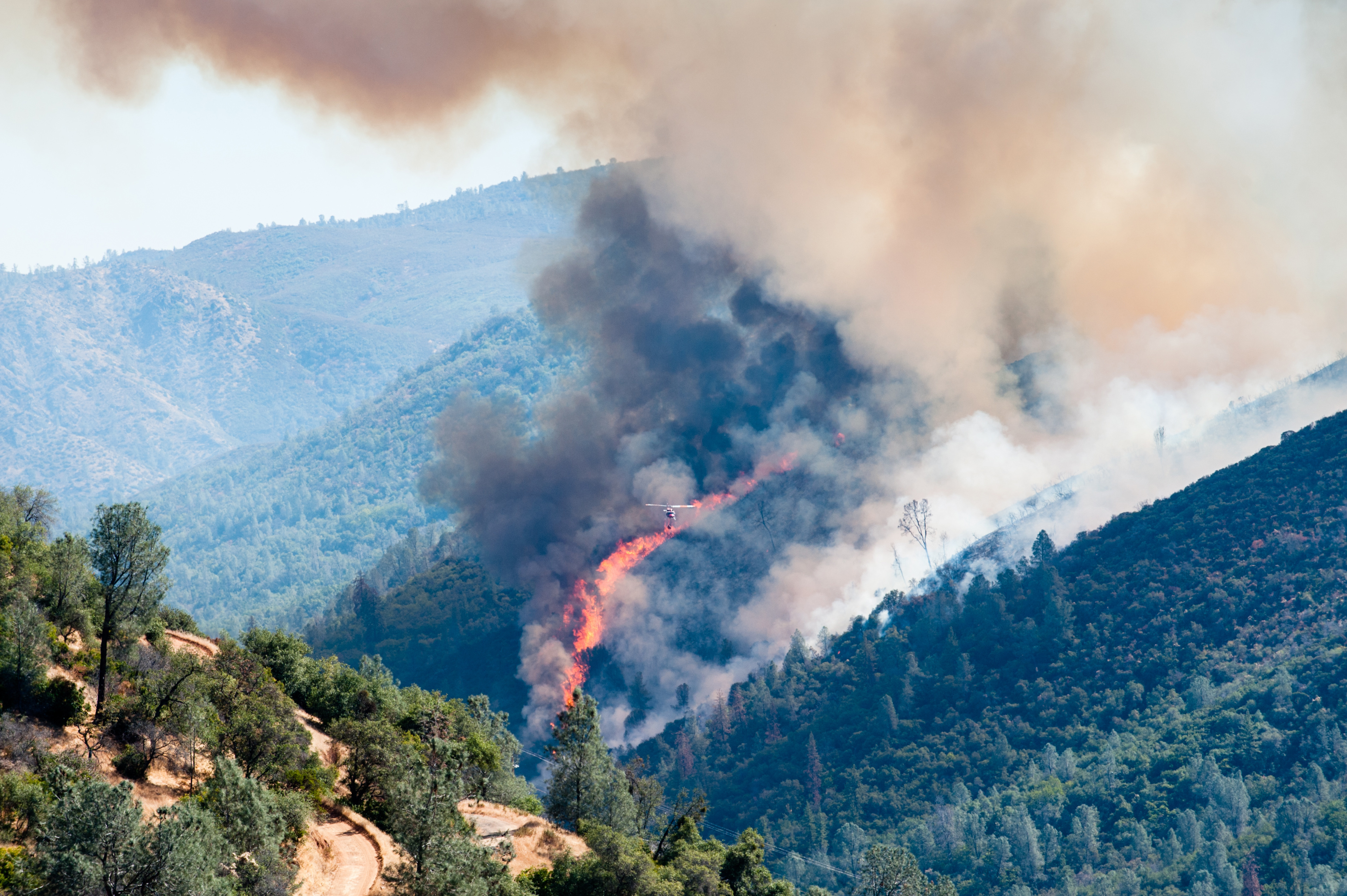 Forest Fires II Adobe Stock 159451659