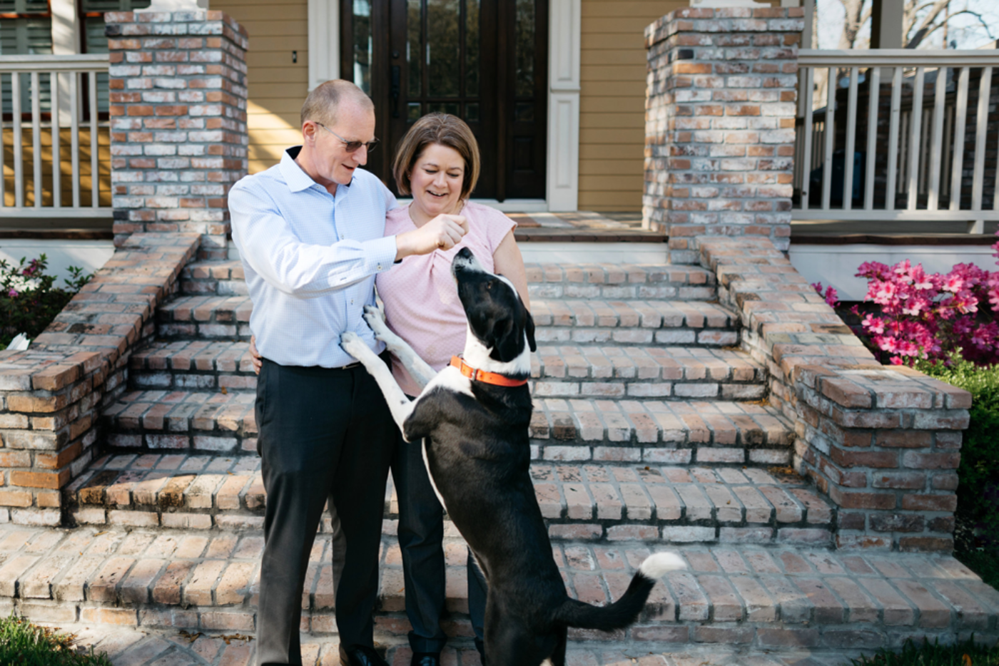 Hunt Landscape Front Steps Dog