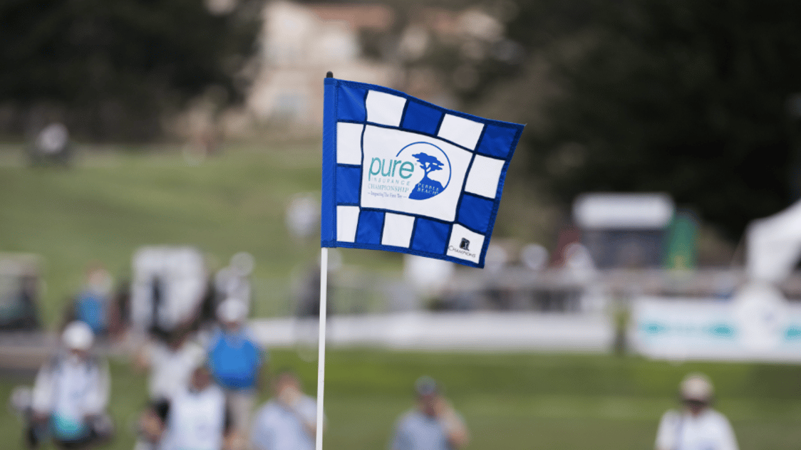 PIC Flag