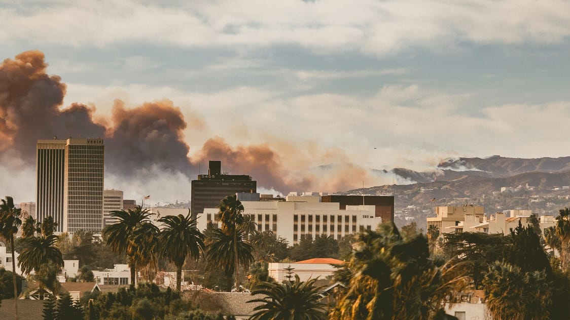 RTM24 Web CAT Wildfire