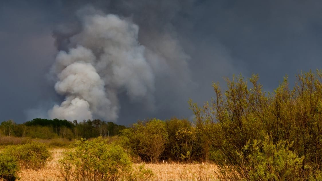 Wildfire resized
