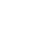 Shield Check Mark Icon White