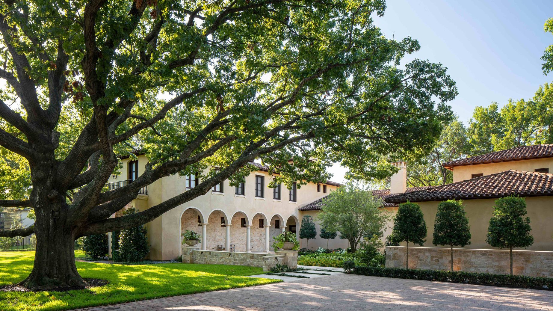Home largetree