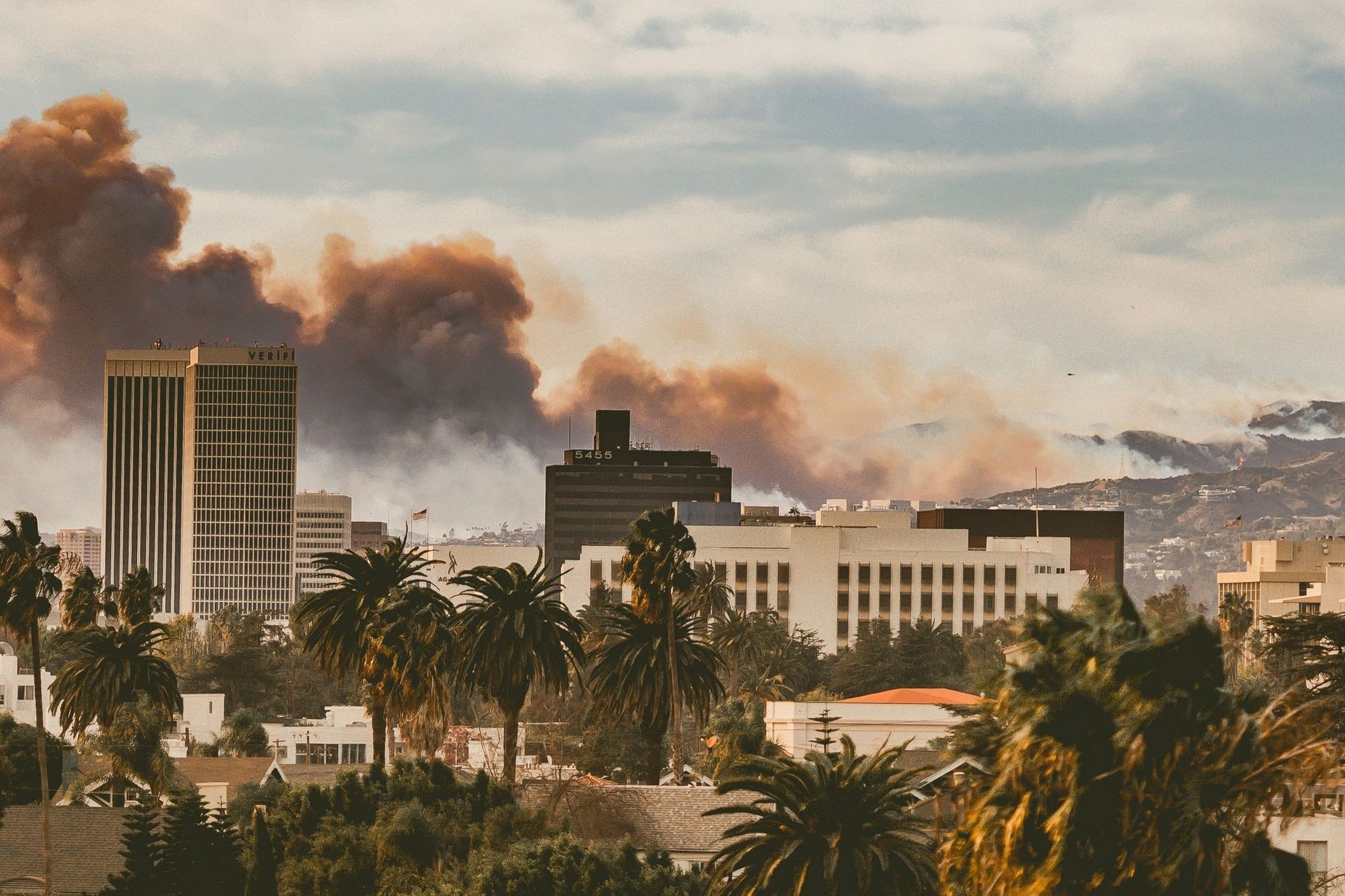 RTM24 Web CAT Wildfire 2