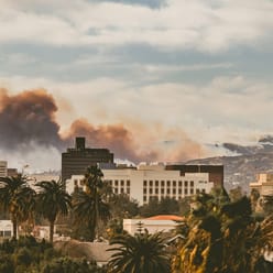 RTM24 Web CAT Wildfire