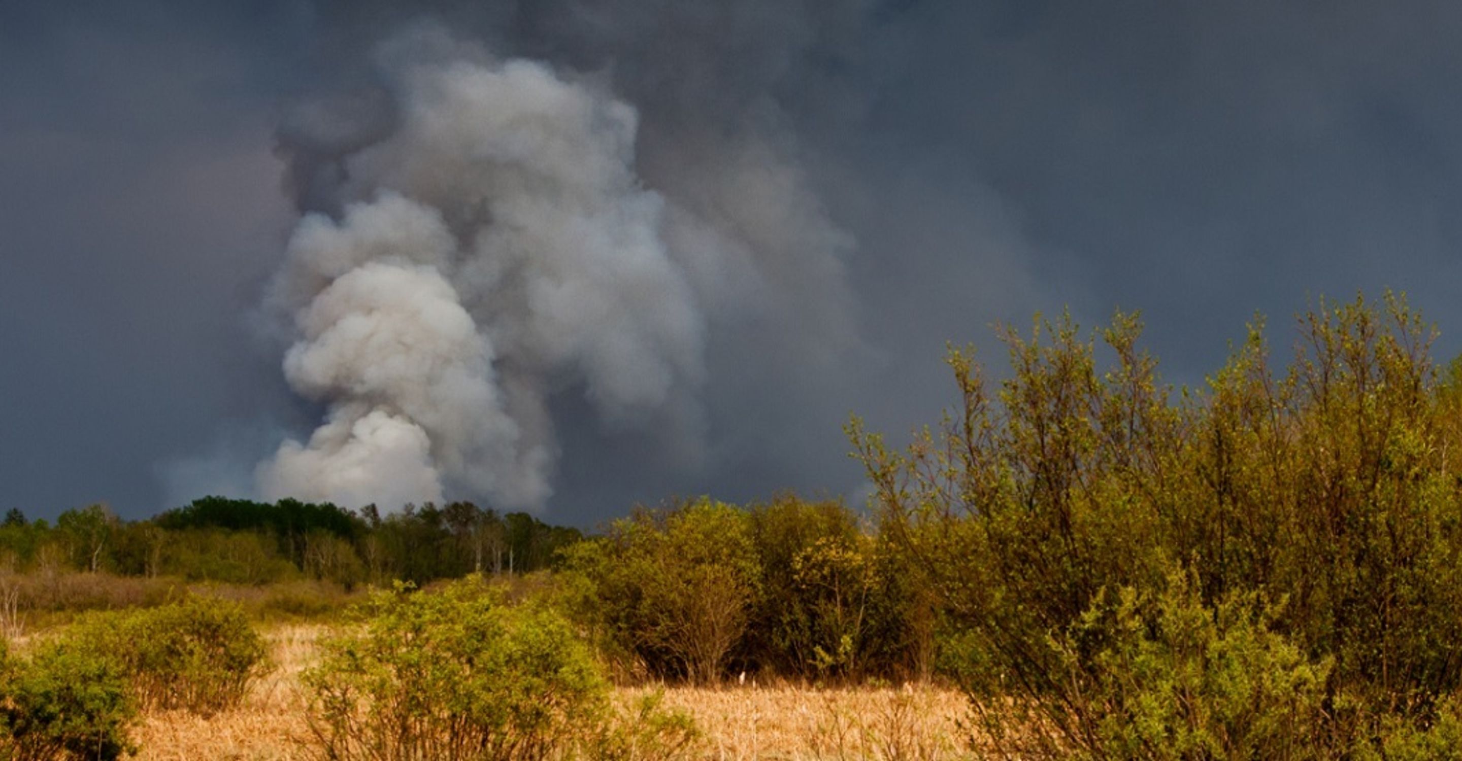 Wildfire resized