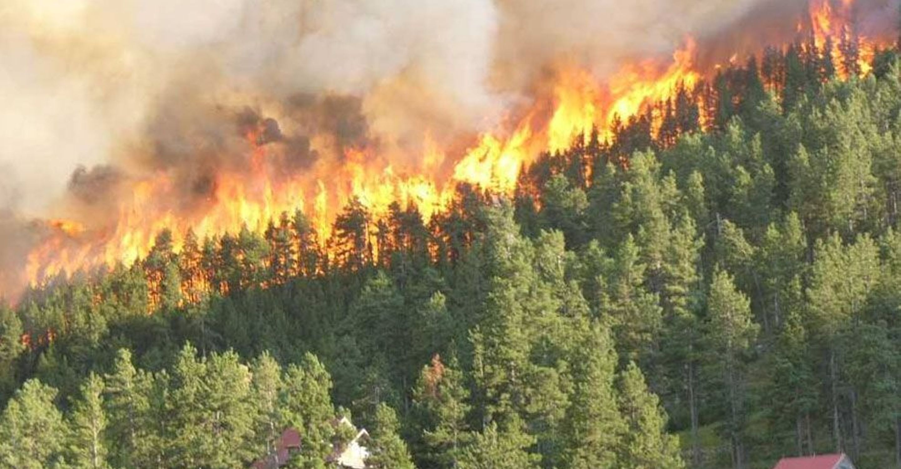 Colorado forest fires