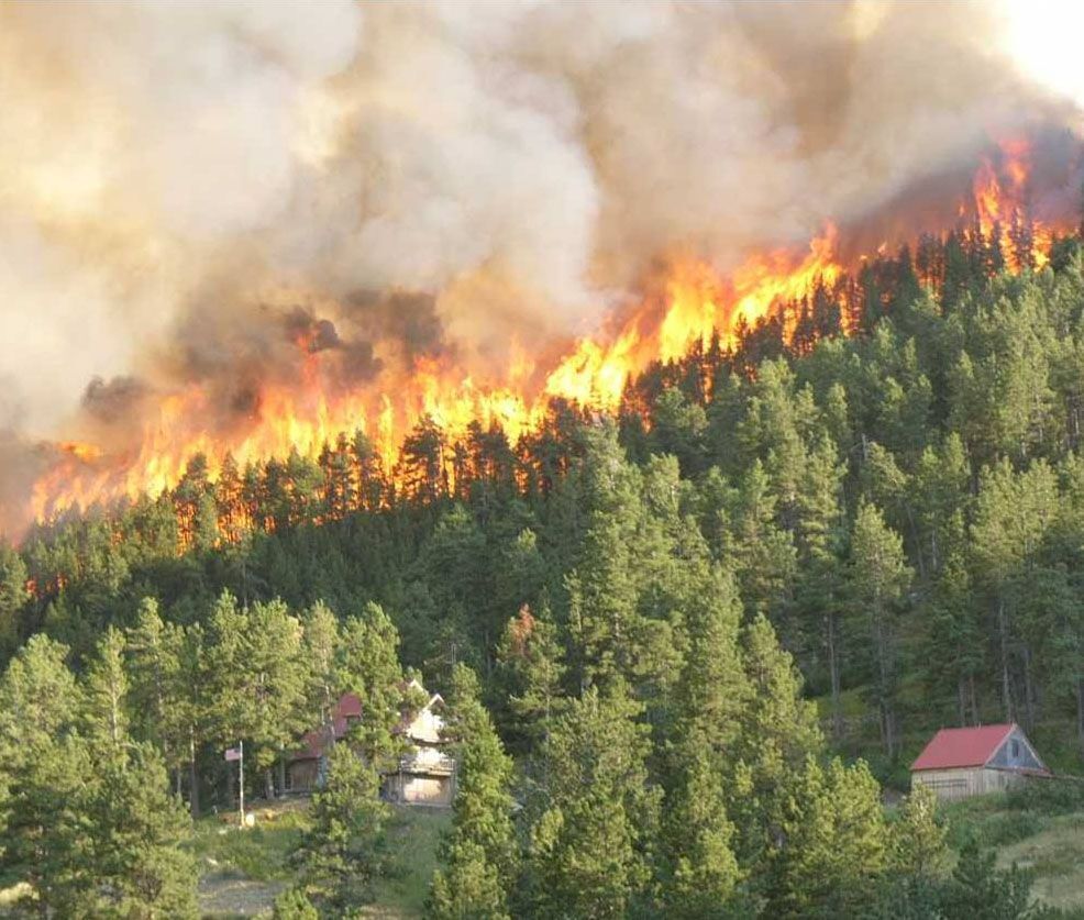 Colorado forest fires